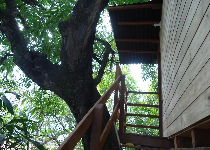 Casa na Árvore Salvador de Bahía
