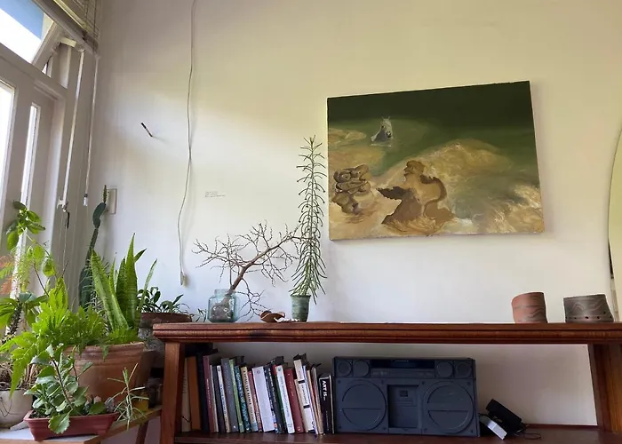 Vista Pro Verde Rio de Janeiro