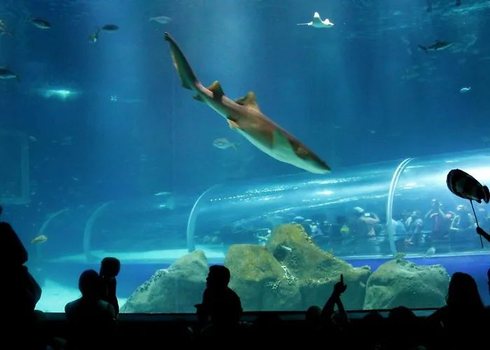 Copacabana Lovely Apto. Rio de Janeiro che accetta animali