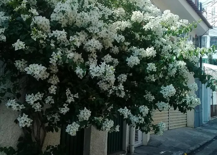 Varanda Hospedaria - Bosque da Saúde São Paulo